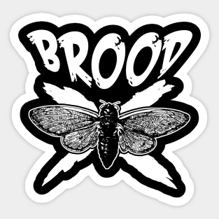 Cicada BROOD X Sticker